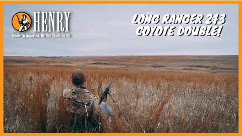Coyote Double with the Long Ranger 243 #huntwithahenry