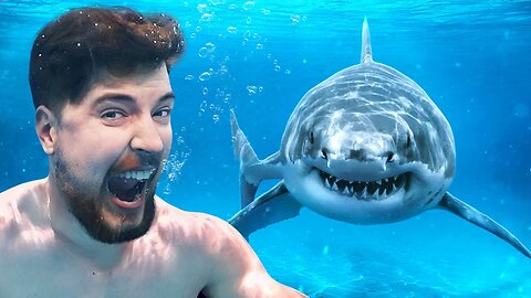 Would You Swim With Sharks For $100,000_ by mr.beast