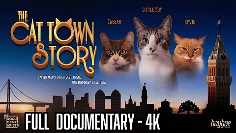 The Cat Town Story | Full Award-Winning Documentary | 4k 😺📽