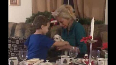 Une maman reçoit un chiot dalmatien pour Noël