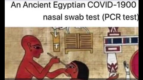 ReptilianPCR Test: The Easiest Way To Control People To Do Anything Egyptians Built The Pyramids