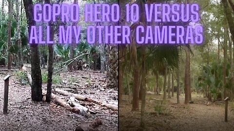 GoPro Hero 10 Compared to all my Existing Cameras || Does a GoPro 10 need a Gimbal and Pygmy Rattler