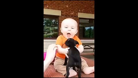 Funy Video Cats and Dogs with Kids/Babies enjoy laughing