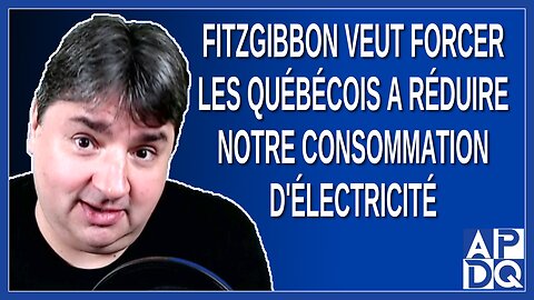 Fitzgibbon pense que les québécois consomme trop d'électricité