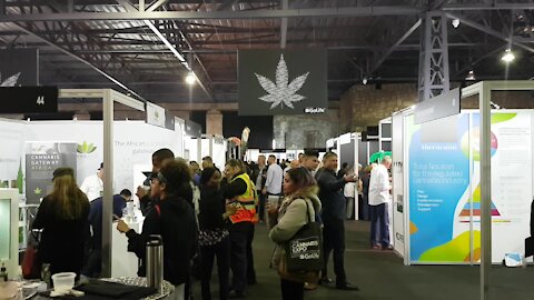 SOUTH AFRICA - Cape Town - Cannabis Expo (Video) (MtW)