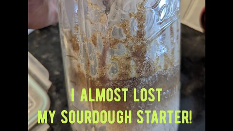 I almost lost my sourdough starter!