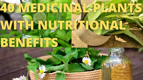 40 Medicinal Plants with Nutritional Benefits You Should Grow at Your Home (Conclusion).