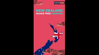 New Zealand the only snake-free country #factsnews #shorts