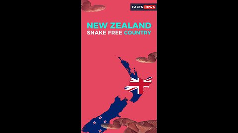 New Zealand the only snake-free country #factsnews #shorts