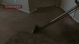 Citrox Carpet Cleaning Solution for Extreme Carpet Cleaning