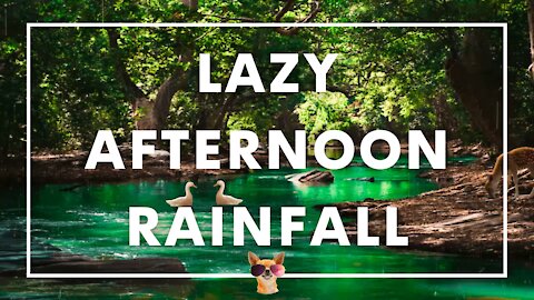 1 Hour Gentle Rain On A Lazy Afternoon, Relaxing Stream Sounds | Magical Jungle Atmosphere #Ambience