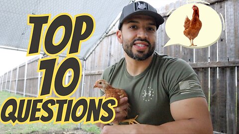 Top 10 Chicken Questions | Answered!