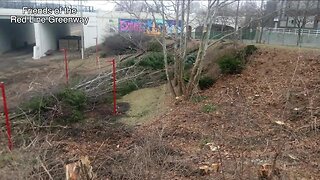 Trees removed from a construction site for an RTA Red Line trail spurs advocates complaints