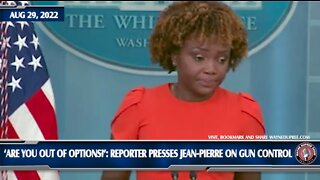 WH Press Secretary Seems Lost On Gun Control