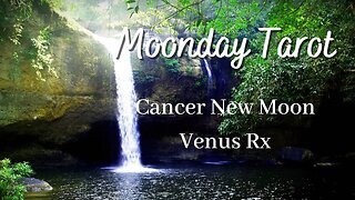 Moonday Tarot - New Moon in Cancer, Venus Rx