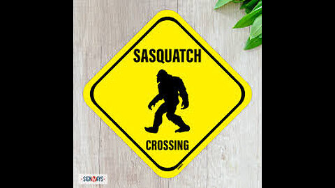 Sasquatch Hunting in Central Minnesota