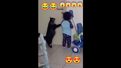 😸 Daily Life Of Cats Is A Comedy 😺 Funny Cats Viral Videos🐯😸 | Animals LOL Moments 🐶🐶