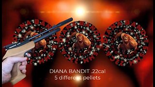 Diana Bandit .22cal 5 different pellets