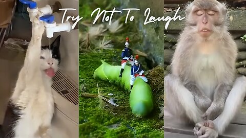 Try Not To Laugh 😅 Funniest Cats, Dogs and Other Animals Video 2024 😹🐶