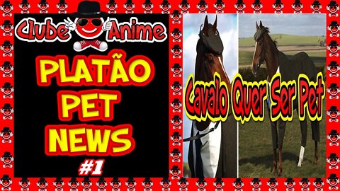 🐶🐺🐾PLATÃO PET NEWS| CAVALO QUER SER PET!!! |2020 🐶🐺🐾
