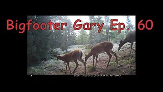 Bigfooter Gary Ep. 60 - Crows Trail Cams & A Bit Of Fall Colour