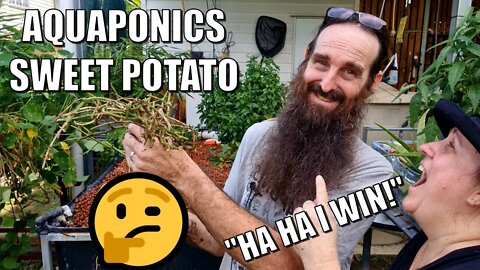 Aquaponics Sweet Potato - Was it Worth it?🤔