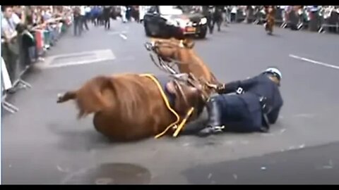 New York Police Using Horses With Pain Bits & Putting Horses In Danger - End Up Making A Horse Fall