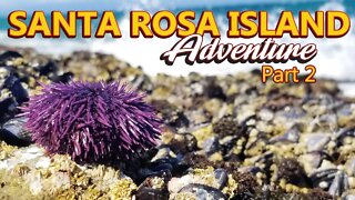 Camping on Santa Rosa Island | Channel Islands National Park - Part 2