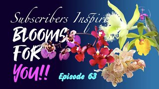 SUBSCRIBERS INSPIRE| You color my life | Blooms for YOU! Episode 63 🌸🌺🌼💐#Orchids #OrchidsinBloom
