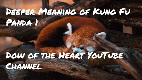 Deeper Meaning of Kung Fu Panda Movie