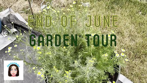 Garden Tour for Last Week of June #bcl