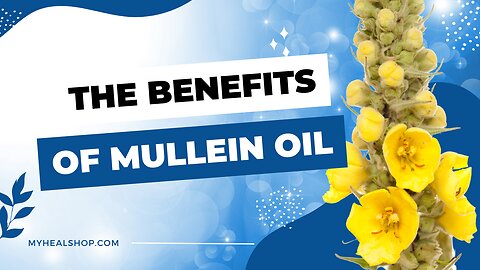 Benefits of Mullein
