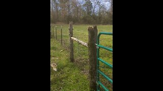 Let's Build Fence! Barb Wire on one section
