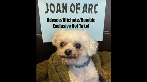 Rumble/Odysee/Bitchute Exclusive Hot Take: Nov 11th 2023 News Blast!