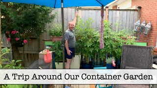 A Trip Around Our Container Garden