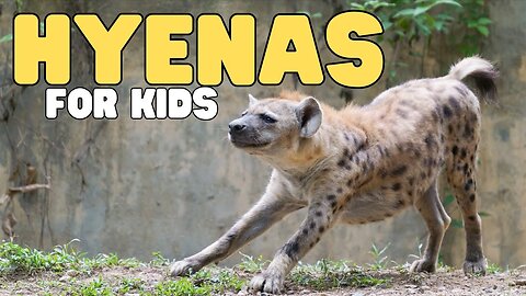 Hyenas for Kids | Learn all about this giggling animal