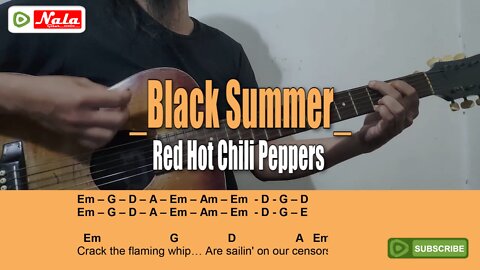 Red Hot Chili Peppers - Black Summer