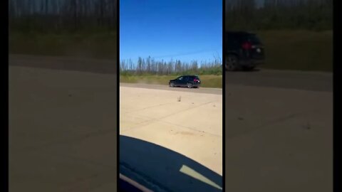 Bear vs SUV😳#shorts #crazyvideo #blackbear #crash #suv