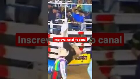 # rodeio boi bandido piões que treme #shorts