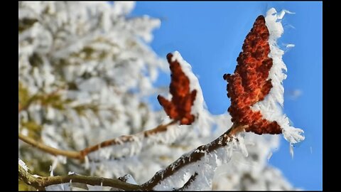 Metabolismo alto no inverno é aliado para perder peso e emagrecer