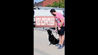 Body Movements Can Be Confusing Your Dog