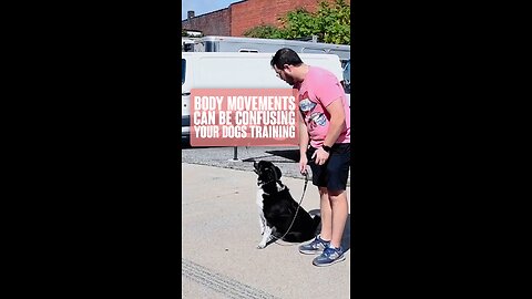 Body Movements Can Be Confusing Your Dog