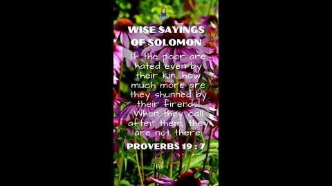 Proverbs 19:7 | NRSV Bible - Wise Sayings of Solomon