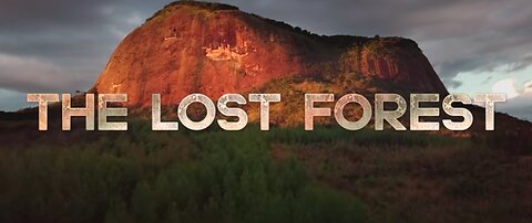 The Lost Forest.
