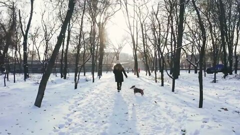 Young woman running with Jack Russell terrier in winter time through park, aerial view, drone foota