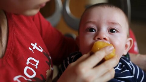 Adorable Baby Fruit Feeder as Pacifier