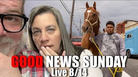 Good News Sunday | Horses, Caves, Blight and MORE | Big Family Homestead Live
