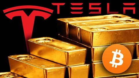 Elon Musk Buys Bitcoin! Is GOLD Next?