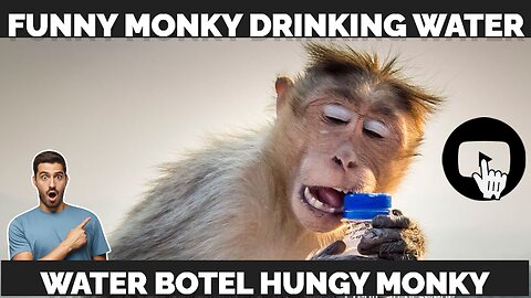 FUNNY MONKY DRINKING WATER