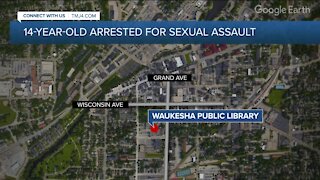 14-year-old boy carjacked, sexually assaulted 87-year-old woman at knifepoint in Waukesha